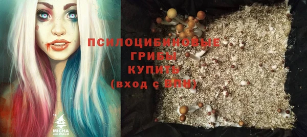 ешки Волосово