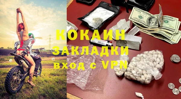 прущие грибы Володарск