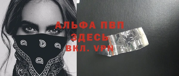 прущие грибы Володарск