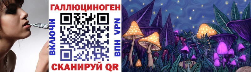 OMG сайт  Новоржев  Псилоцибиновые грибы мухоморы 