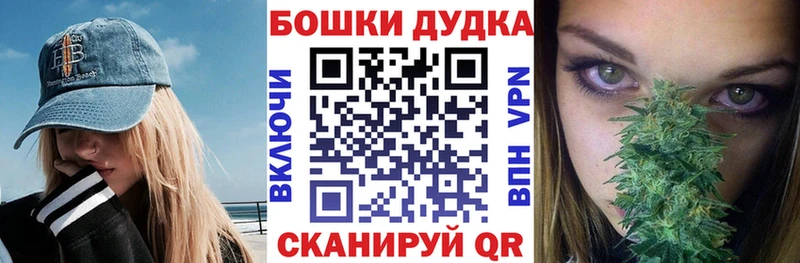 Шишки марихуана SATIVA & INDICA закладки Новоржев